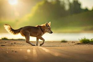 a dog walking on the beach at sunset. AI-Generated photo
