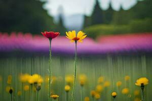 two red and yellow flowers stand in a field. AI-Generated photo
