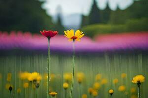 dos rojo y amarillo flores estar en un campo. generado por ai foto