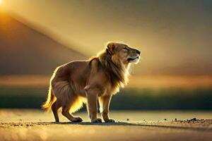 a lion standing on the beach at sunset. AI-Generated photo