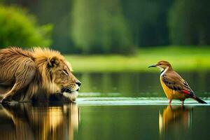 a lion and a bird standing in the water. AI-Generated photo