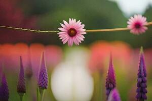 púrpura flores son en un campo con un borroso antecedentes. generado por ai foto