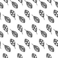 Vector hand drawn autumn seamless pattern leaves isolated on white background. Doodle fall leaves for seasonal design, textile, greeting card, wrap in line art style. Adult and kids coloring page