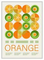 Poster with fruit orange abstract geometric shapes vector