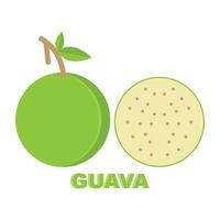 diseño de icono de guayaba vector