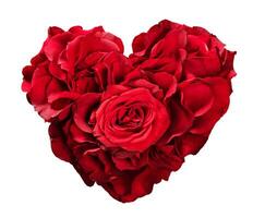 Heart from rose flowers. Isolated on white background photo