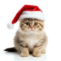 Cute kitten wearing red christmas hat look at camera, isolated on white background, AI Generated photo