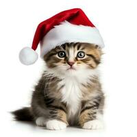 Cute kitten wearing red christmas hat look at camera, isolated on white background, AI Generated photo