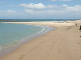 playa hermosa cerca arriba imagen ai generado foto