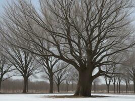 tree beautiful close up image ai generated photo