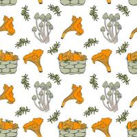 Pattern with mushrooms and basket of chanterelles, moss and family mycena , white background. vector