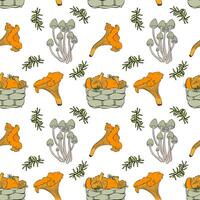 Pattern with mushrooms and basket of chanterelles, moss and family mycena , white background. vector