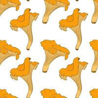 Pattern with orange chanterelles on white background. vector