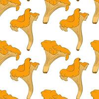 Pattern with orange chanterelles on white background. vector