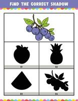 Find the correct shadow educational shadow match game worksheet for kids cartoon vector illustration