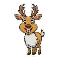 Cute deer cartoon on white background vector