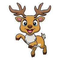 Cute deer cartoon on white background vector