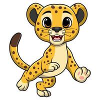 Cute leopard cartoon on white background vector