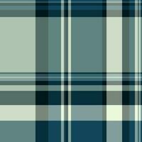 Plaid texture pattern of seamless fabric check with a textile background vector tartan.