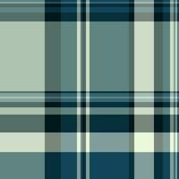 Plaid texture pattern of seamless fabric check with a textile background vector tartan.