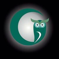 Night owl image vector