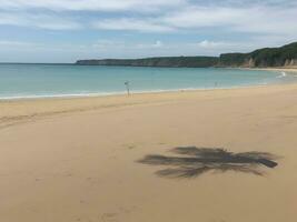 playa hermosa cerca arriba imagen ai generado foto