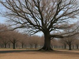 tree beautiful close up image ai generated photo