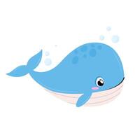 Cute whale vector illustration. Cartoon illustration of a whale in a flat style on a white background.