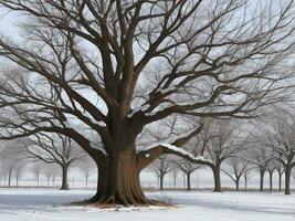 tree beautiful close up image ai generated photo