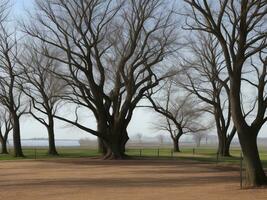 tree beautiful close up image ai generated photo