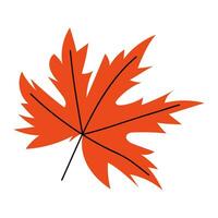 Vector autumn leaves in flat style. Maple leaf.  Autumn leaves. Leaf on white isolated background. Object on fall theme.