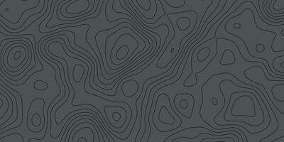 Topographic Background. Topography Map. Black and White Seamless Pattern. Black and White Pattern with Lines vector