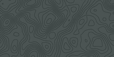 Topographic Background. Topography Map. Black and White Seamless Pattern. Black and White Pattern with Lines vector