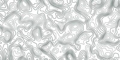 Topographic Map. Topographic Background. Topography Map Line. Black and White Pattern of Lines and Curves vector