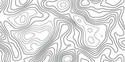 Topographic Line Background. Black and White Pattern vector