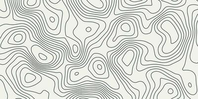 abstract pattern with lines. Background of the topographic map. vector