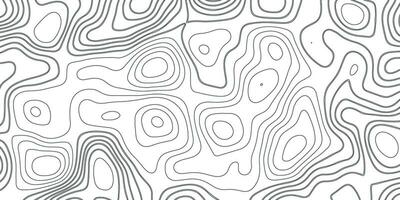 Topographic Background. Gray and White Abstract Background with Wavy Lines. Black and White Pattern of Lines and Curves. Topographic Topography vector