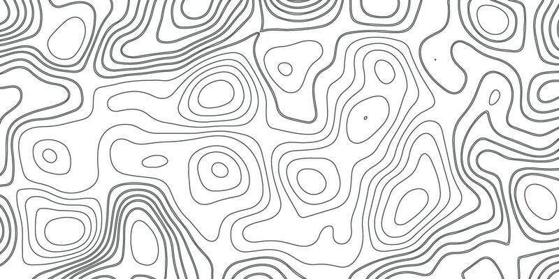 Topographic Background. Gray and White Abstract Background with Wavy Lines. Black and White Pattern of Lines and Curves. Topographic Topography