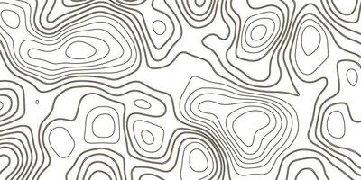 Topographic Background. Abstract Seamless Pattern with Lines vector