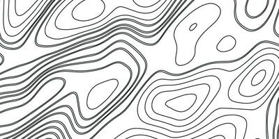 Topographic Line Background. Black and White Pattern vector