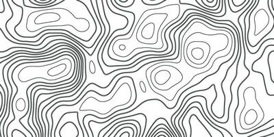 Topographic Background. Gray and White Abstract Background with Wavy Lines. Black and White Pattern of Lines and Curves. Topographic Topography vector