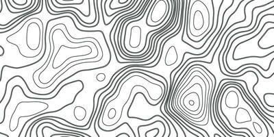 Topographic Black Line Background. Abstract Pattern with Lines vector