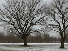 tree beautiful close up image ai generated photo