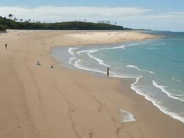 playa hermosa cerca arriba imagen ai generado foto