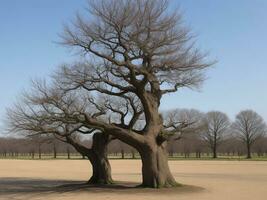 árbol hermosa cerca arriba imagen ai generado foto