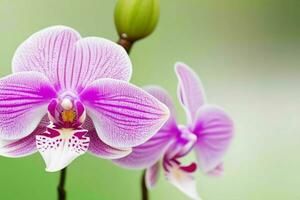 orquídea flor. antecedentes. ai generativo Pro foto