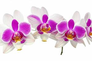 orquídea flor. antecedentes. ai generativo Pro foto
