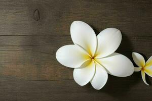 plumeria flower. background. AI Generative Pro Photo