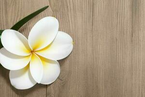 plumeria flower. background. AI Generative Pro Photo