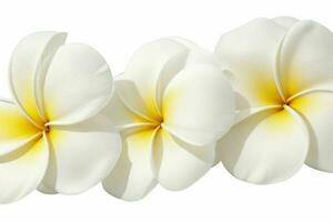 plumeria flor. antecedentes. ai generativo Pro foto